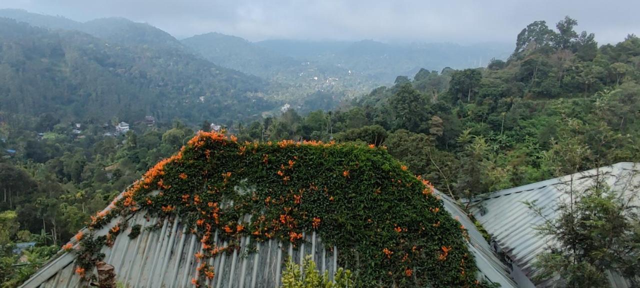 Munnar Tea Hills Resort - Mthr Extérieur photo