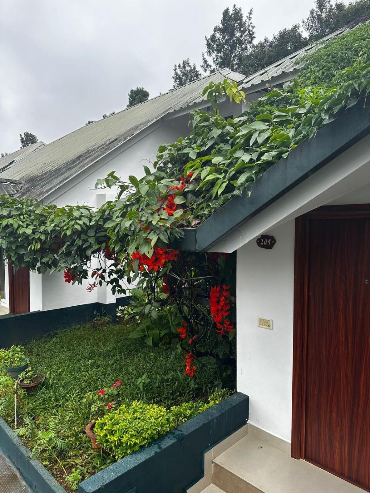 Munnar Tea Hills Resort - Mthr Extérieur photo